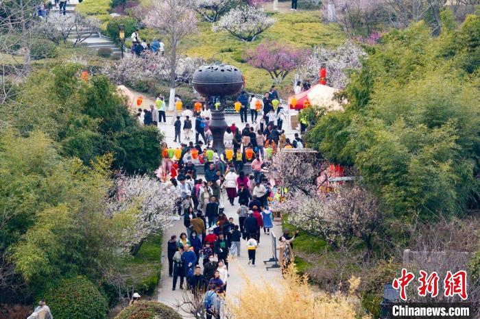 奇趣分分彩：航拍江苏徐州龟山探梅园  万紫千红春满堂